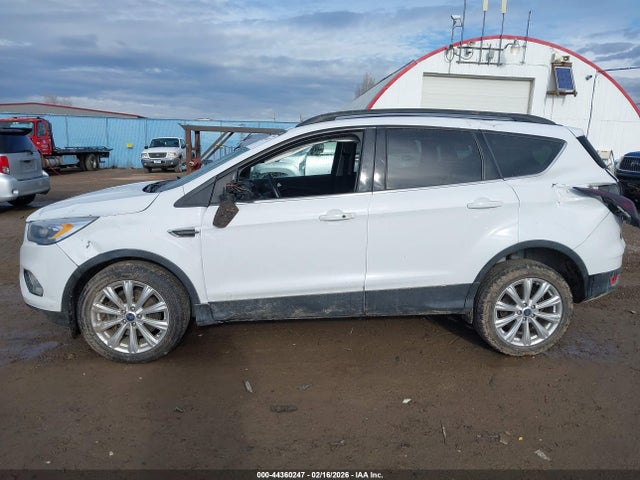 Ford Escape Sel