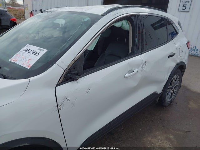 Ford Escape Sel