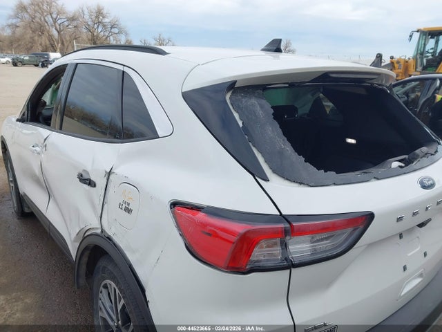 Ford Escape Sel