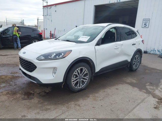 Ford Escape Sel