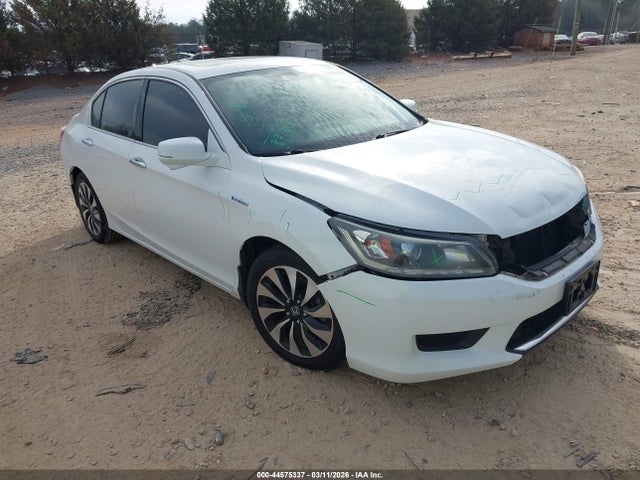 Salvage Honda Accord Image