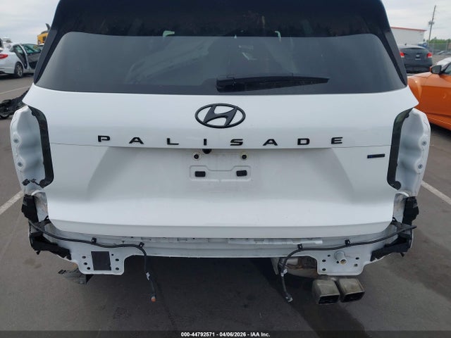 Hyundai PALISADE Calligraphy Night Edition