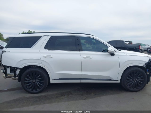 Hyundai PALISADE Calligraphy Night Edition