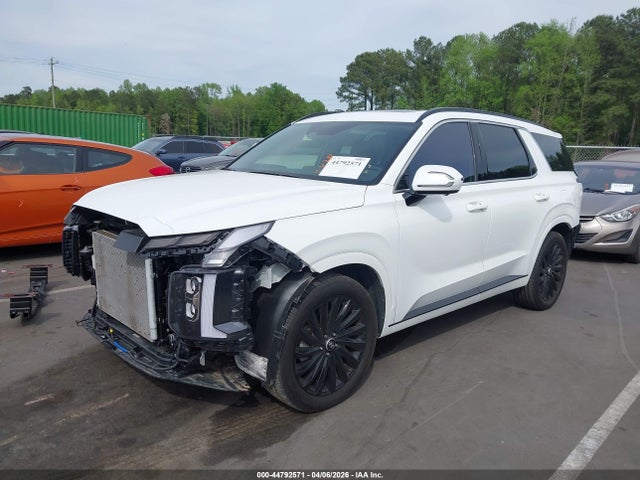 Hyundai PALISADE Calligraphy Night Edition