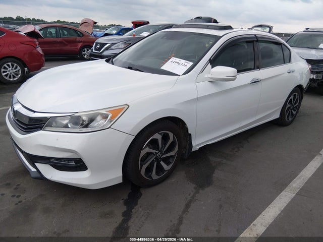 Honda Accord Ex-l