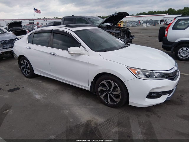Salvage Honda Accord Image