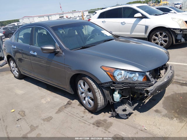 Salvage Honda Accord Image
