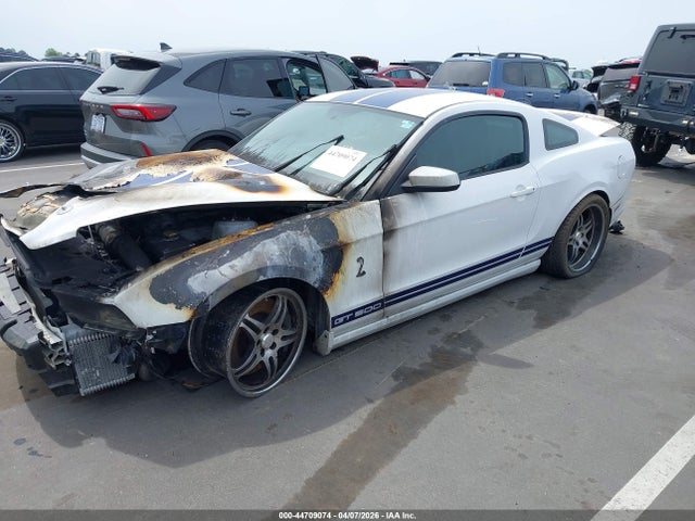 Ford Shelby GT500