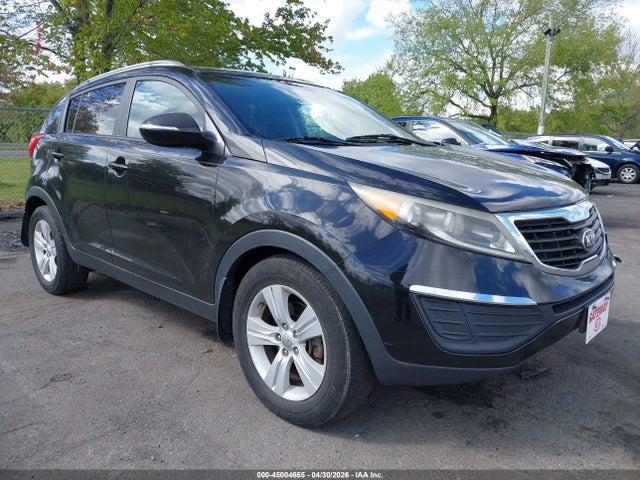 Salvage Kia Sportage Image