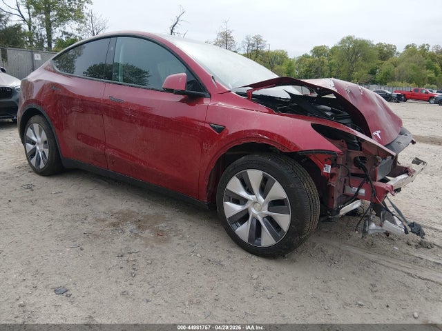 Salvage Tesla Model Y Image