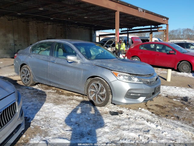 Salvage Honda Accord Image