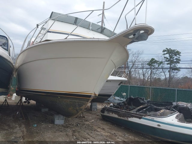 Salvage Egg Harbor 35 Image