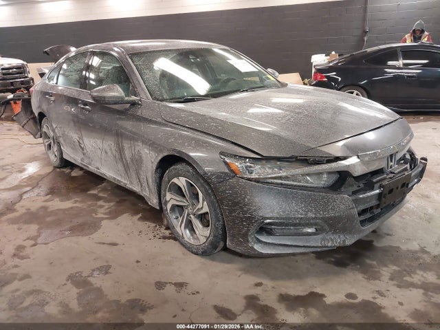 Salvage Honda Accord Image