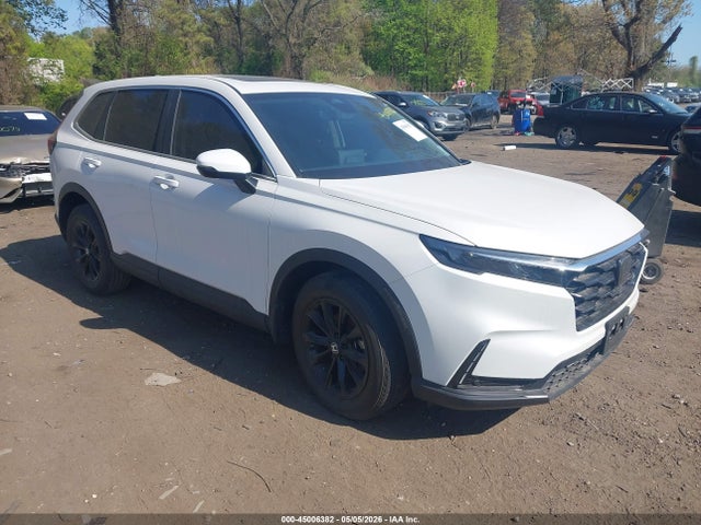Salvage Honda CR-V Image