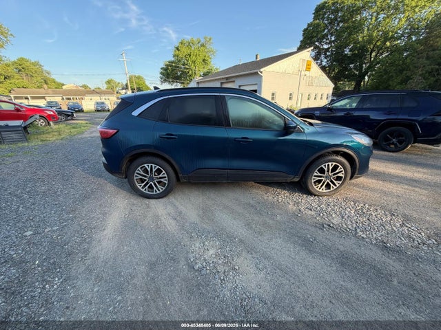 Ford Escape Sel