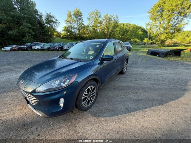 Ford Escape Sel