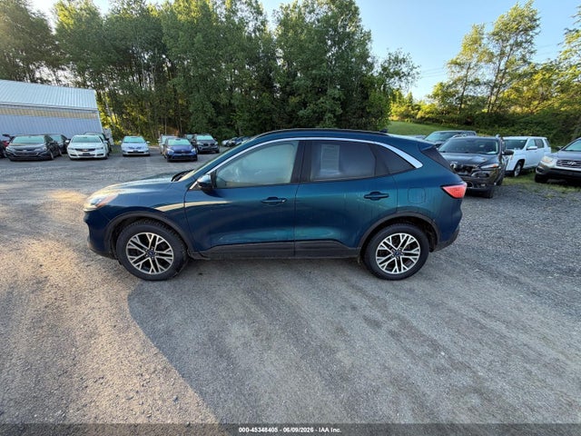 Ford Escape Sel