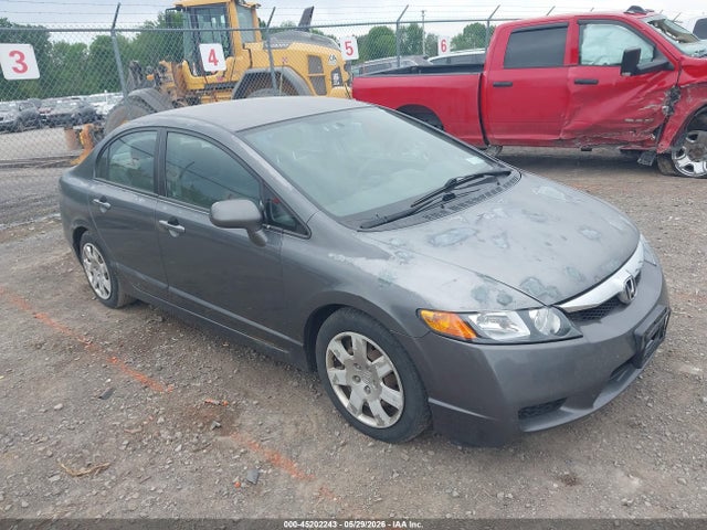 Salvage Honda Civic Image