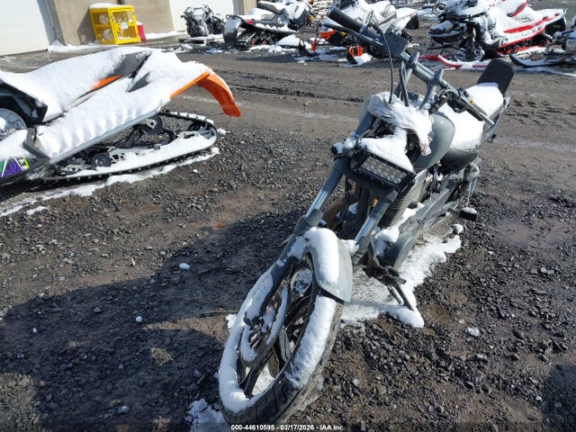 Suzuki Ls650 P