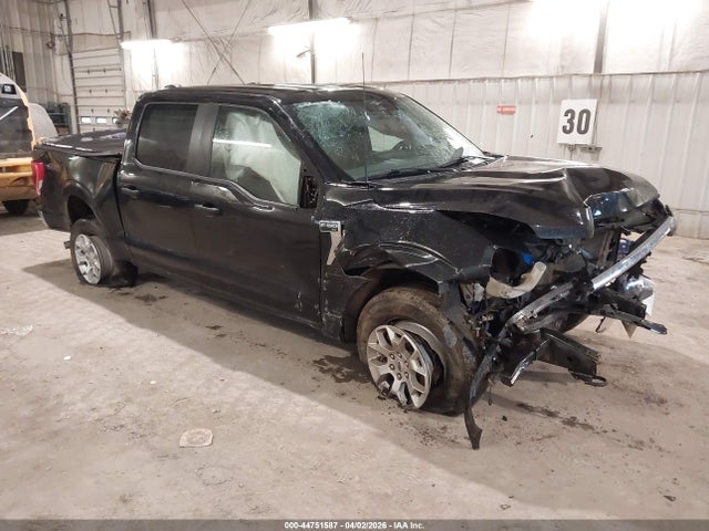 Salvage Ford F-150 Image