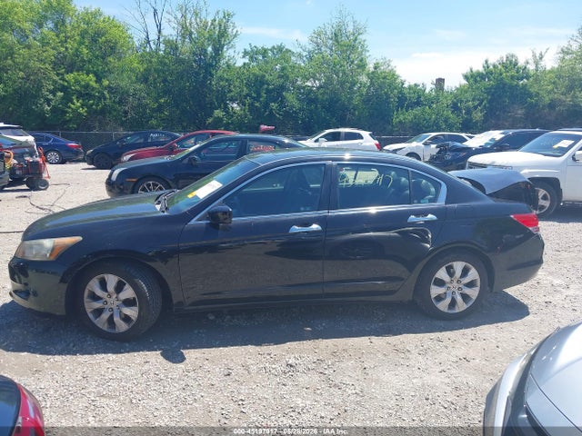 Honda Accord 3.5 Ex-l