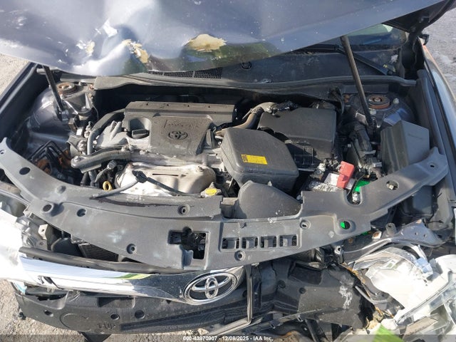 Toyota Camry Xle