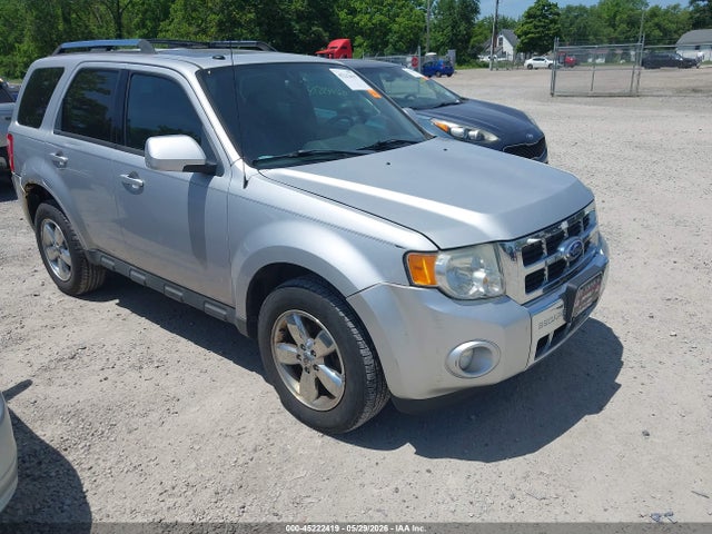 Salvage Ford Escape Image