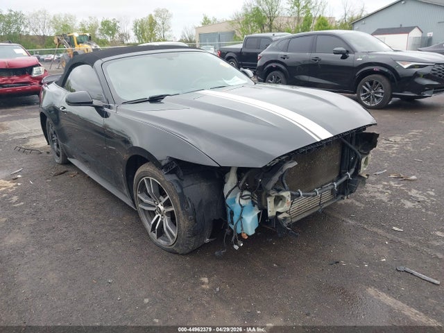 Salvage Ford Mustang Image