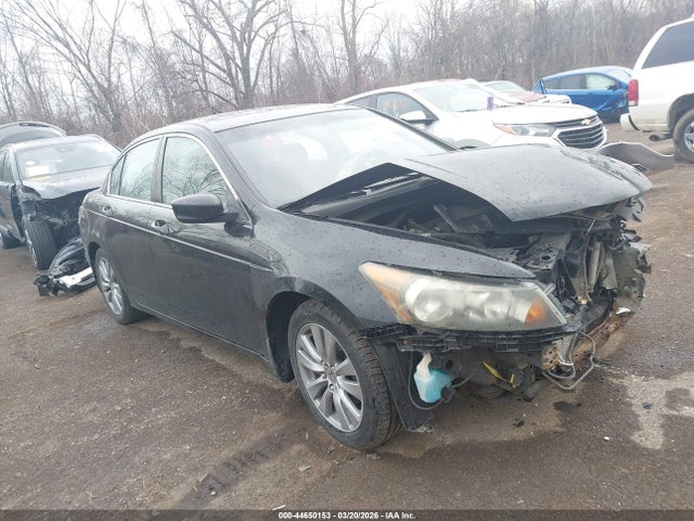 Salvage Honda Accord Image