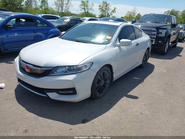 Honda Accord Ex-l V-6