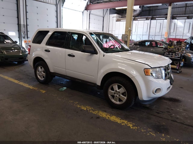 Salvage Ford Escape Image