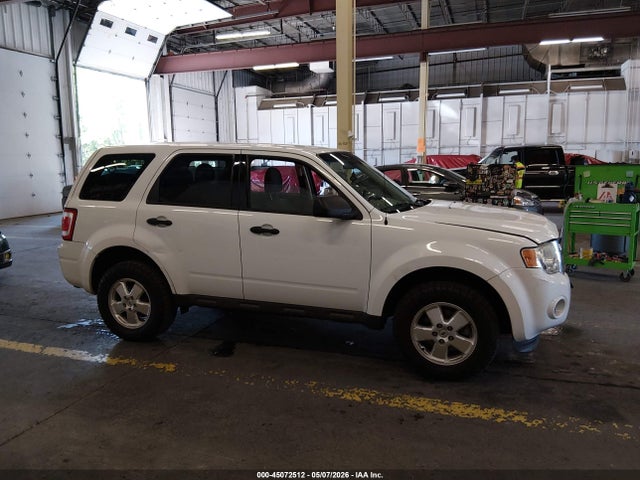 Ford Escape Xls