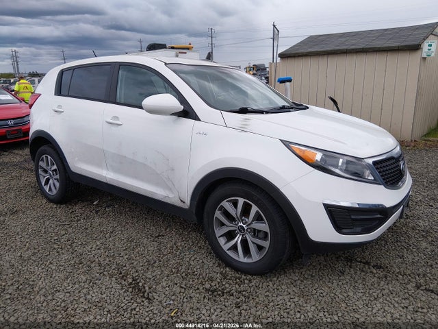 Salvage Kia Sportage Image