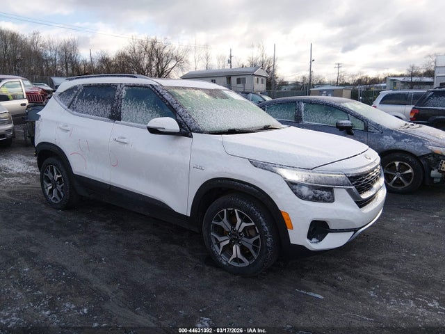 Salvage Kia Seltos Image