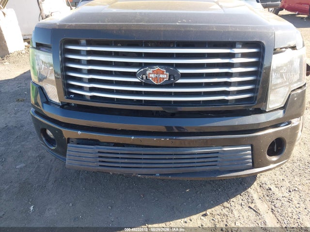 Ford F-150 Harley-davidson