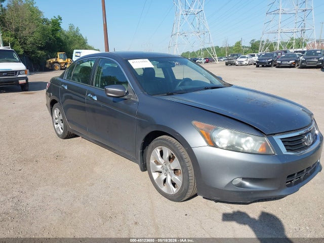 Salvage Honda Accord Image