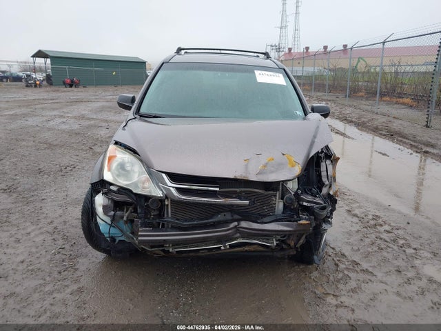 Honda CR-V Ex
