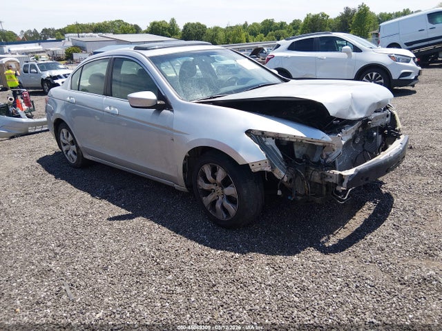 Salvage Honda Accord Image