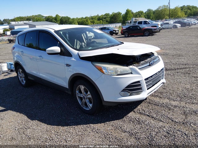 Salvage Ford Escape Image