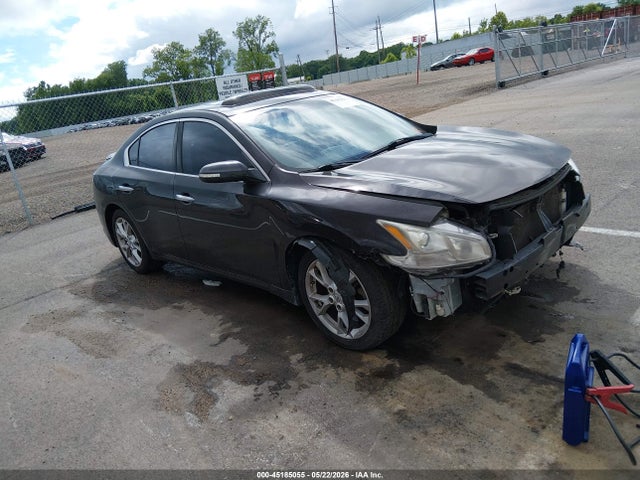 Salvage Nissan Maxima Image