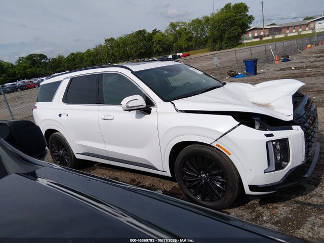 Hyundai PALISADE Calligraphy Night Edition