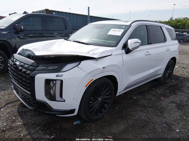 Hyundai PALISADE Calligraphy Night Edition