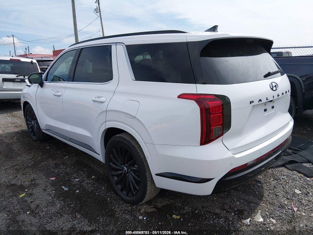 Hyundai PALISADE Calligraphy Night Edition