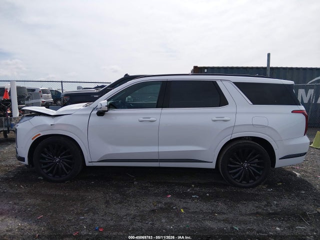 Hyundai PALISADE Calligraphy Night Edition