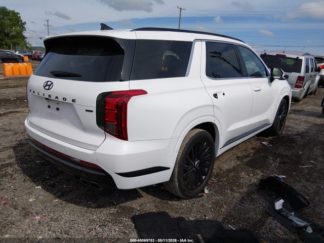 Hyundai PALISADE Calligraphy Night Edition