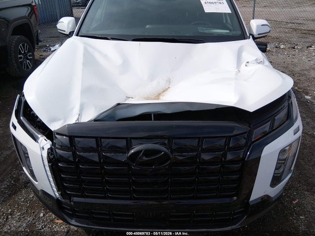 Hyundai PALISADE Calligraphy Night Edition