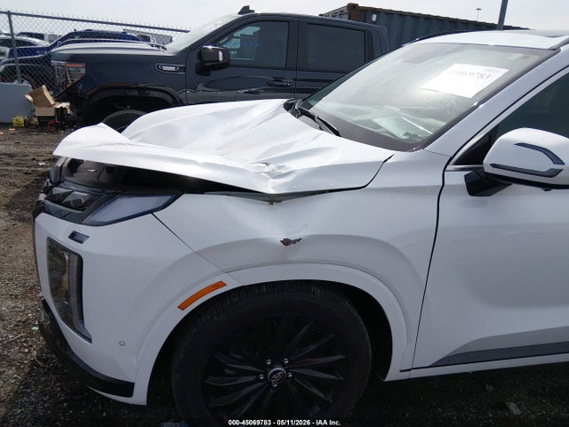 Hyundai PALISADE Calligraphy Night Edition