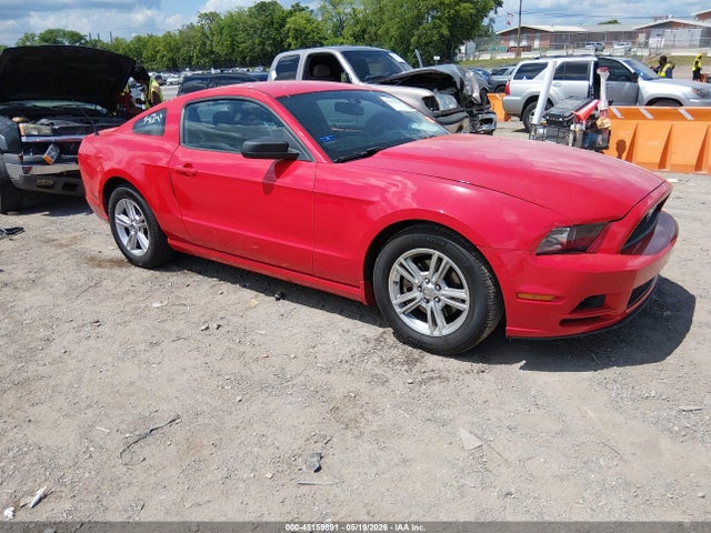 Salvage Ford Mustang Image