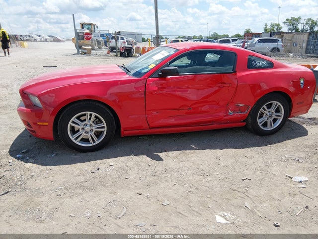 Ford Mustang V6