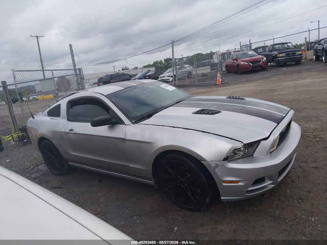 Ford Mustang V6